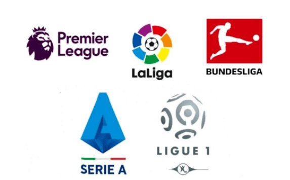 加明星球员 加明星球员